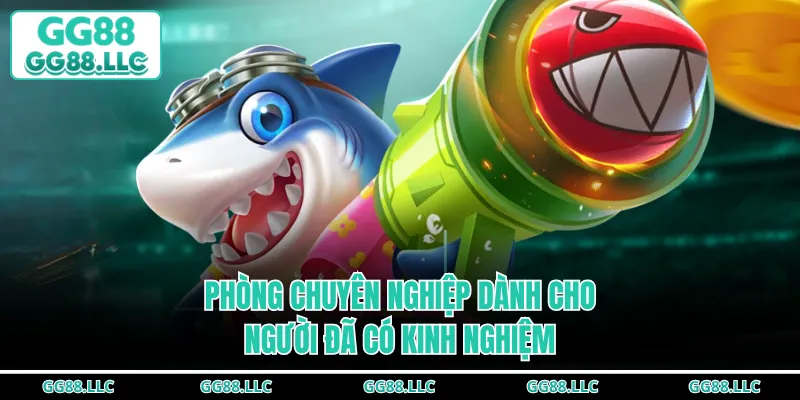 Phòng chuyên nghiệp dành cho người đã có kinh nghiệm